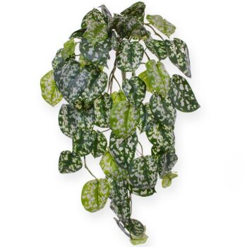 Scindapsus Pictus deluxe kunst hangplant