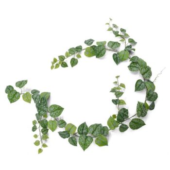 Scindapsus Pictus kunst guirlande