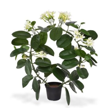 Stephanotis kunstplant