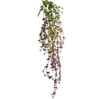Erwten kunst hangplant  - burgundy