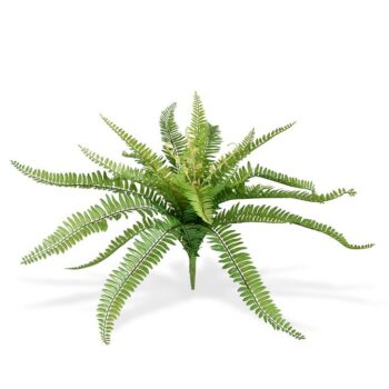 Boston Varen PL kunstplant