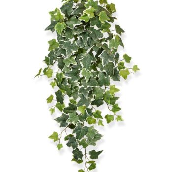 Hedera kunst hangplant  - bont