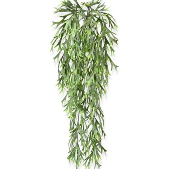 Hertshoorn kunst hangplant