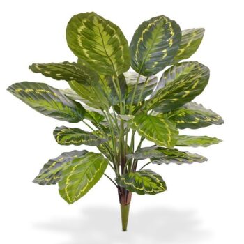 Calathea Roseopicta kunstplant  boeket