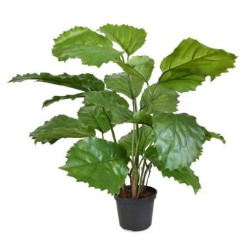 Tetrastigma kunstplant