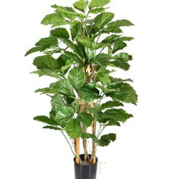 Tetrastigma kunstplant