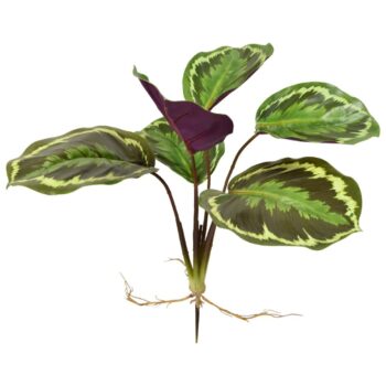 Calathea Ornata kunstplant