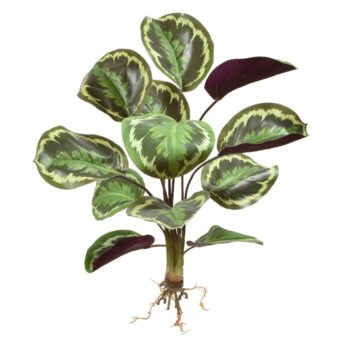 Calathea Ornata kunstboeket