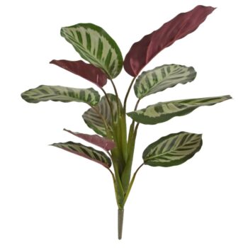 Calathea red Roseopicta bush kunstplant