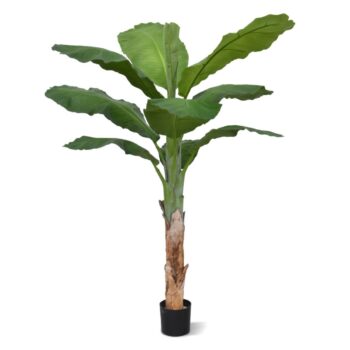 Banaan Royal kunstboom