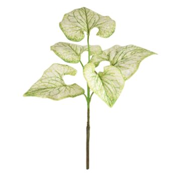 Brunnera kunsttak  - creme/groen