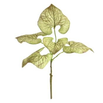 Brunnera kunsttak  groen-bruin