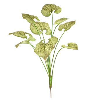 Brunnera kunstplant  - groen/bruin