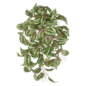 Tradescantia Tricolor kunst hangplant