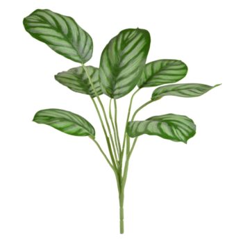 Calathea Maranta kunstplant