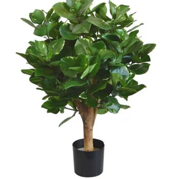 Clusia bol kunstplant