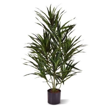 Draceana Reflexa Anita kunstplant