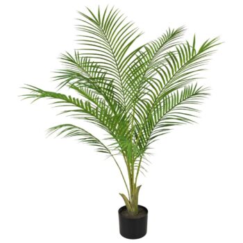 Areca kuntpalm Pl