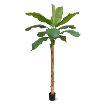 Banaan Royal XL kunstboom