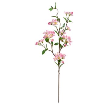 Appel Bloesemtak deluxe  roze