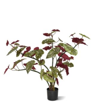 Begonia Maculata kunstplant