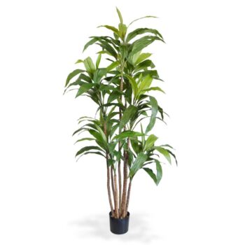 Draceana Fragrans XL kunstboom