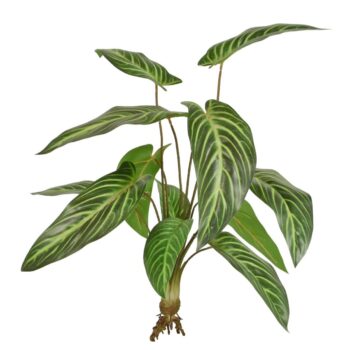 Caladium Lindenii kunstplant