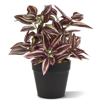 Tradescantia kunstplant  - burgundy
