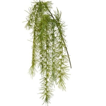 Asparagus Spengeri kunsttak