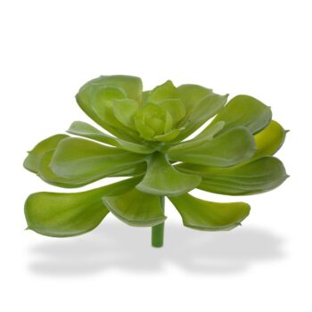 Echeveria Setosa kunstplant