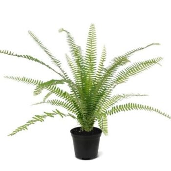 Asplenium Varen kunstplant  in  pot