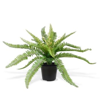 Boston Varen PL kunstplant