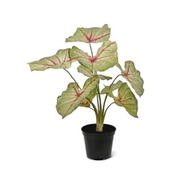 Caladium white queen kunstplant