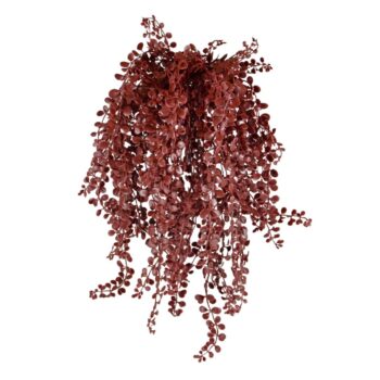 Dischidia kunst hangplant  UV Burgundy