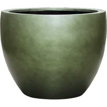 Baq Gradient Couple Matt Forest Green