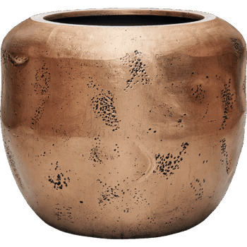 Baq Opus Raw Couple Gold