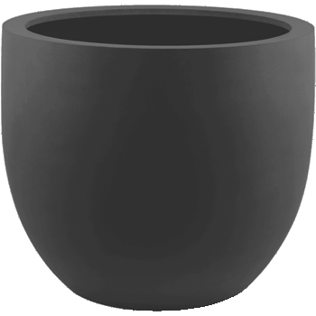 Stretto New Egg Pot 55