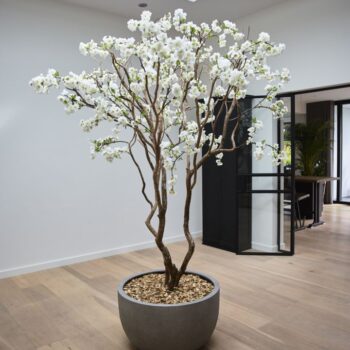 Grigio New Egg Pot Low 110