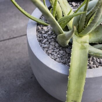 Argento New Egg Pot 36