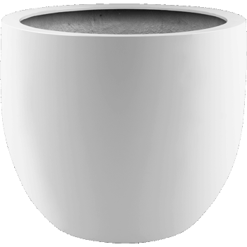 Argento New Egg Pot 36