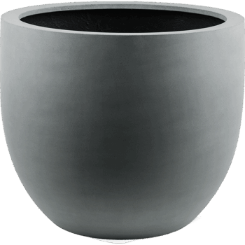 Argento New Egg Pot 36
