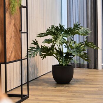 Grigio New Egg Pot 36