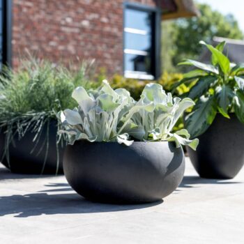 Grigio Low Balloon 26