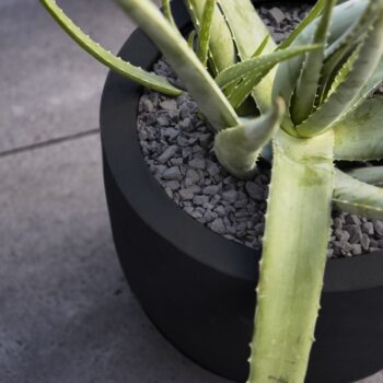 Argento New Egg Pot 45