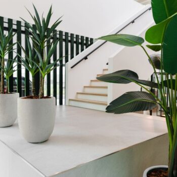 Grigio Tall Egg Pot 40