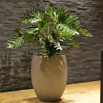 Grigio Tall Egg Pot 52