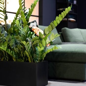 Argento Small Box 60