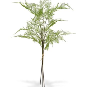 3x Asparagus kunsttak  - bundel