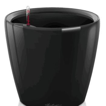 CLASSICO Premium 50 LS