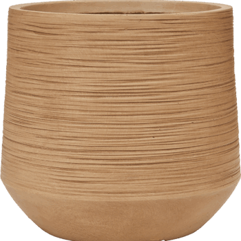 Baq Dune Darcy Brown Beige